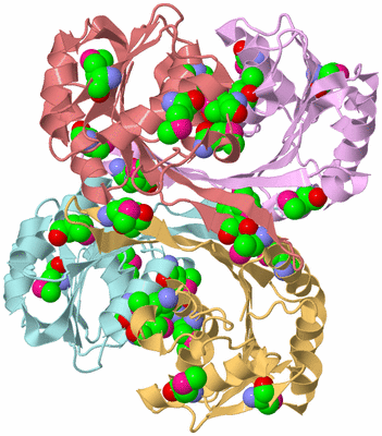 Image Biological Unit 2