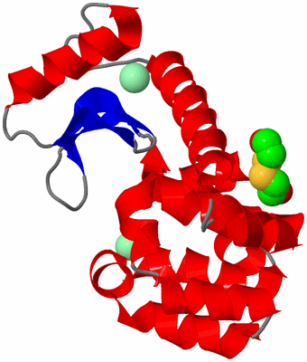 Image Asym./Biol. Unit