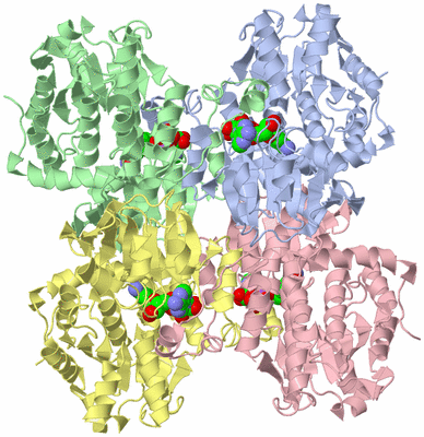 Image Asym./Biol. Unit