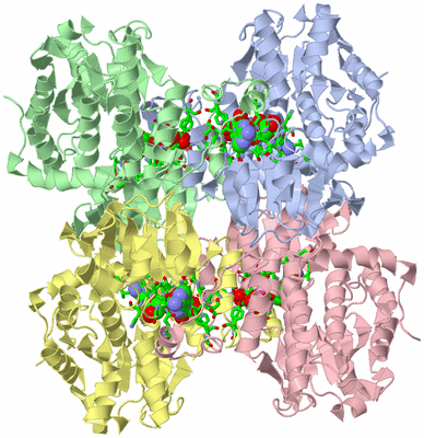 Image Asym./Biol. Unit - sites