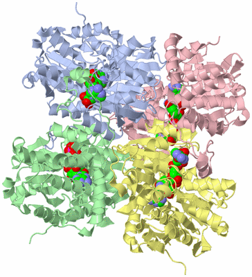 Image Asym./Biol. Unit