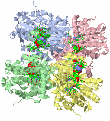 Image Asym./Biol. Unit - sites