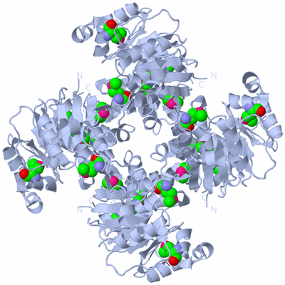 Image Biological Unit 2