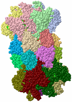 Image Asym./Biol. Unit - sites