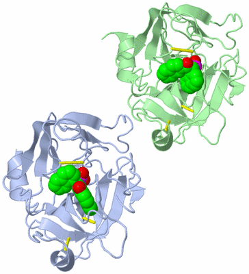 Image Asymmetric Unit