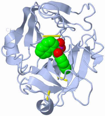 Image Biological Unit 1