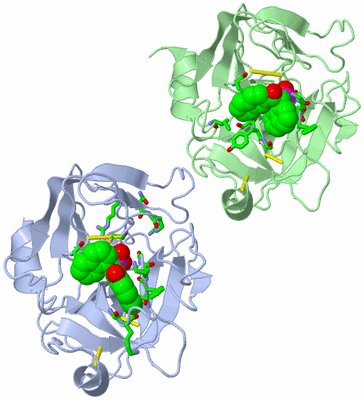 Image Asym. Unit - sites