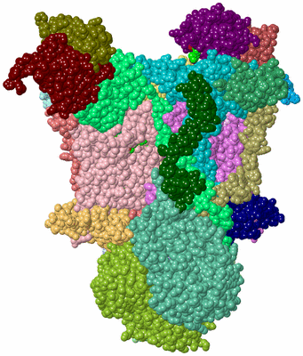 Image Asym./Biol. Unit