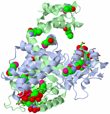 Image Biol. Unit 1 - sites