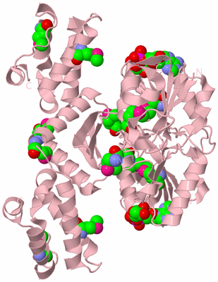 Image Biological Unit 2