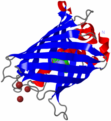 Image Asym./Biol. Unit