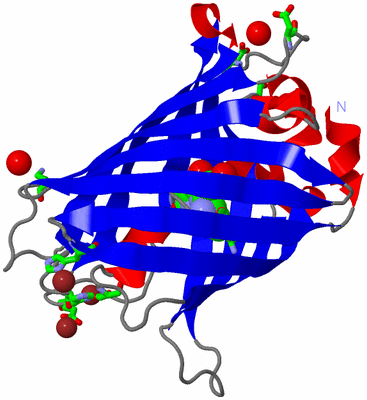 Image Asym./Biol. Unit - sites