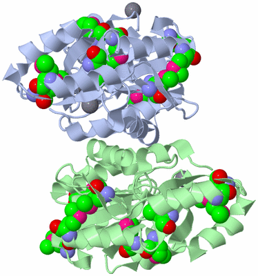 Image Biological Unit 2