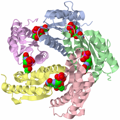 Image Biological Unit 1