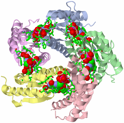 Image Biol. Unit 1 - sites