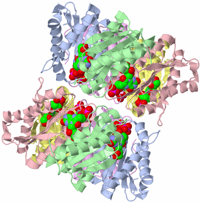 Image Biological Unit 2