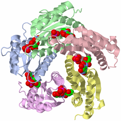 Image Biological Unit 1