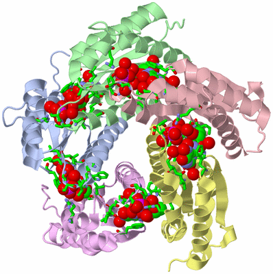 Image Biol. Unit 1 - sites