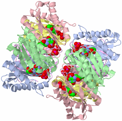 Image Biological Unit 2