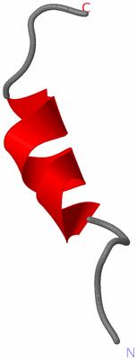 Image NMR Structure - model 1