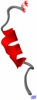 Image NMR Structure - all models