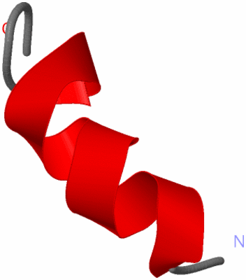 Image NMR Structure - model 1