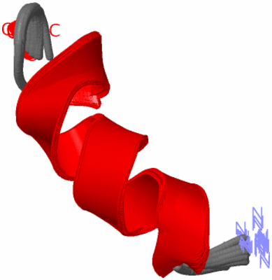 Image NMR Structure - all models