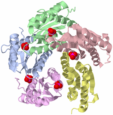 Image Biological Unit 1