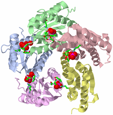 Image Biol. Unit 1 - sites