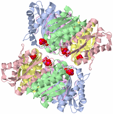 Image Biological Unit 2