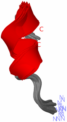 Image NMR Structure - all models