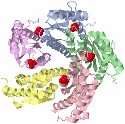 Image Biological Unit 1