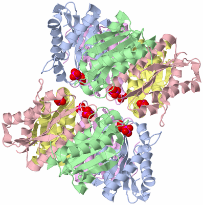 Image Biological Unit 2