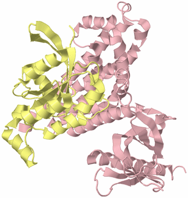 Image Biological Unit 2