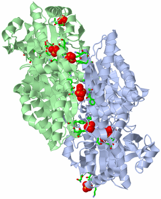 Image Asym./Biol. Unit - sites
