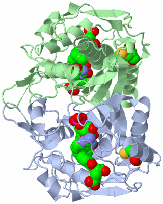 Image Biological Unit 1