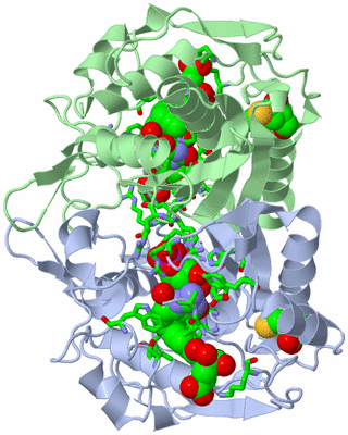 Image Biol. Unit 1 - sites