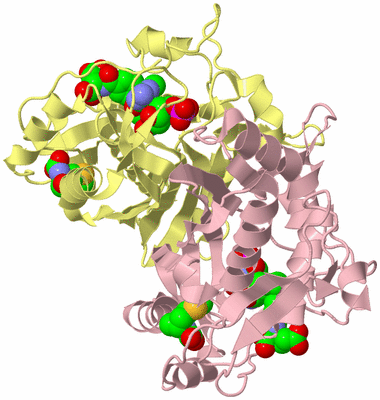 Image Biological Unit 2