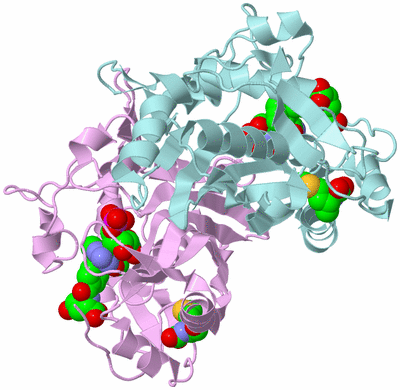 Image Biological Unit 3