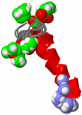 Image NMR Structure - all models