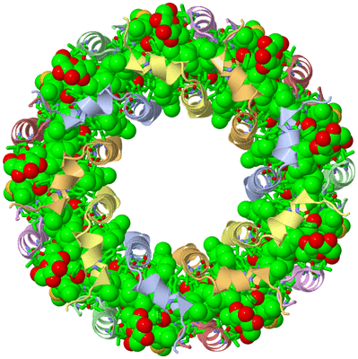 Image Biol. Unit 1 - sites