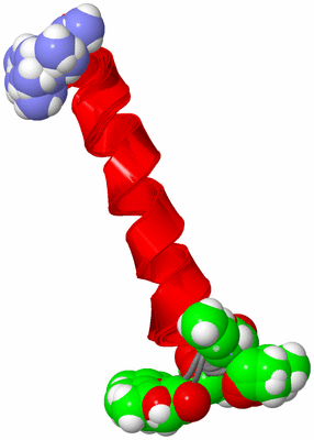 Image NMR Structure - all models