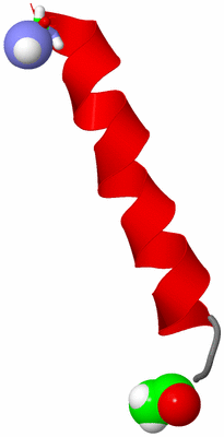 Image NMR Structure - model 1, sites