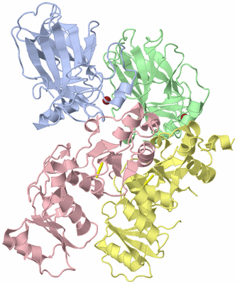 Image Asym./Biol. Unit