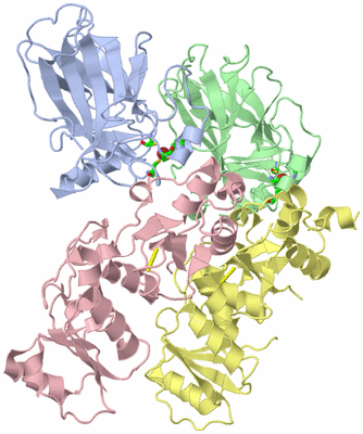 Image Asym./Biol. Unit - sites