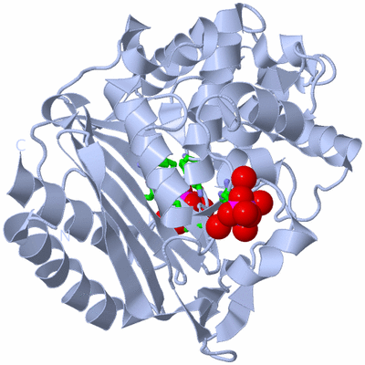 Image Biol. Unit 1 - sites