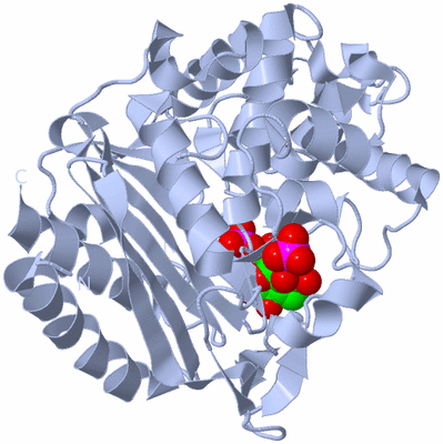 Image Biological Unit 1