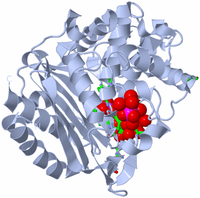 Image Biol. Unit 1 - sites