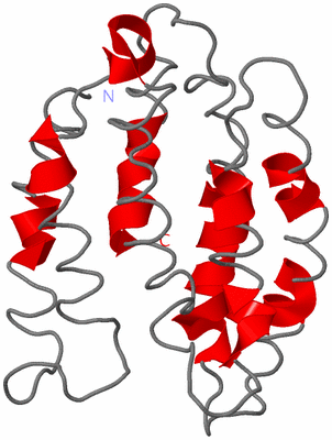 Image NMR Structure - model 1