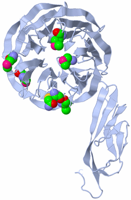 Image Biological Unit 1